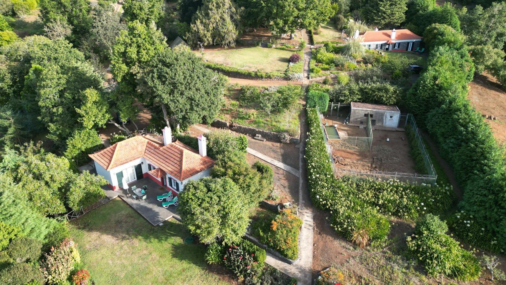 Quinta Das Faias Camacha  Quarto foto