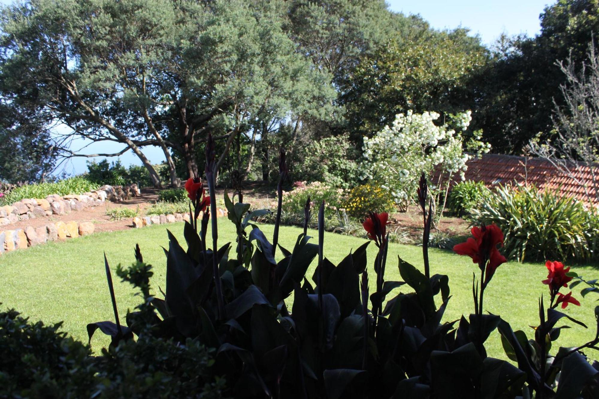 Quinta Das Faias Camacha  Quarto foto