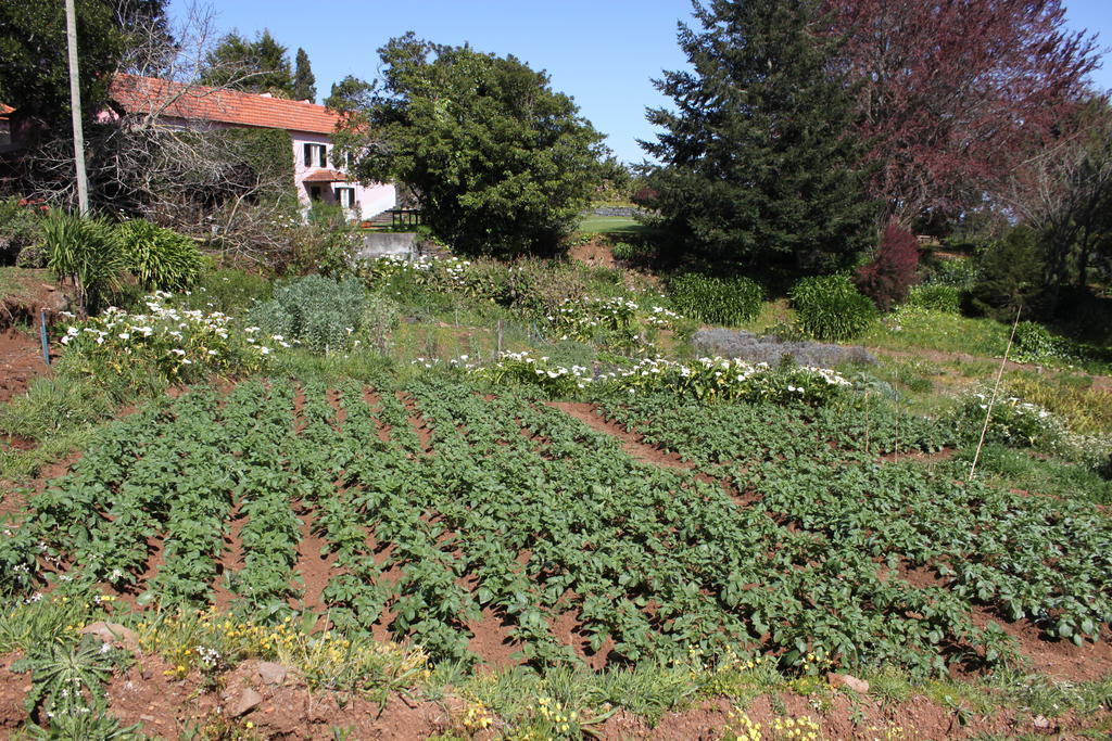 Quinta Das Faias Camacha  Exterior foto
