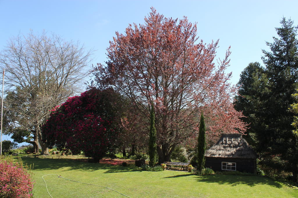 Quinta Das Faias Camacha  Exterior foto